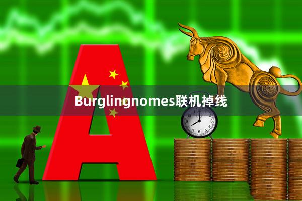 Burglingnomes联机掉线