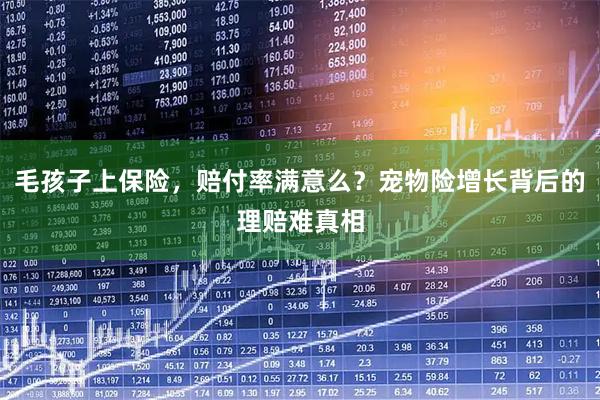 毛孩子上保险，赔付率满意么？宠物险增长背后的理赔难真相