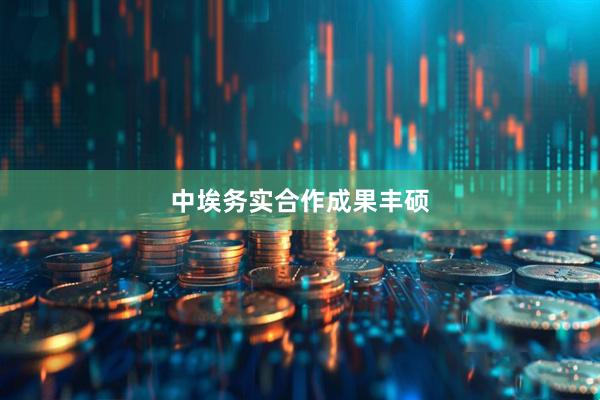 中埃务实合作成果丰硕